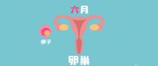 卵巢老一岁，女人老十岁？妇科专家总结6大“护巢指南”